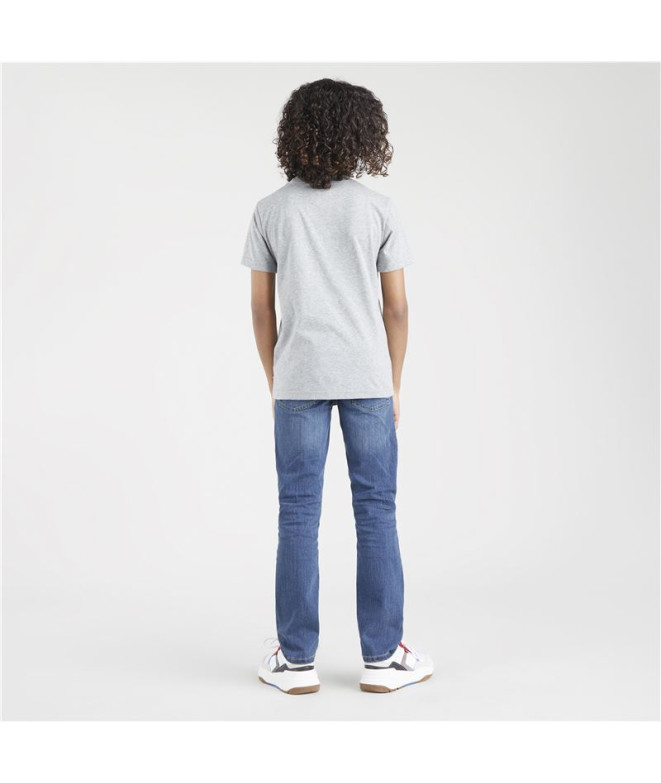Camiseta Levi's Batwing Manga corta Boy Grey