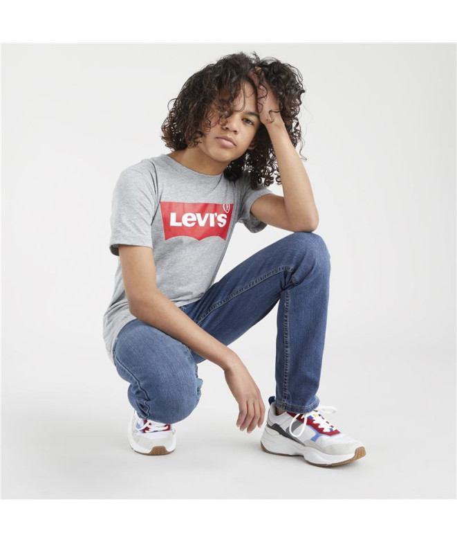 Camiseta Levi's Batwing Manga corta Boy Grey