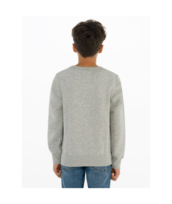 Sudadera Levi's Batwing Crewneck Boy Grey