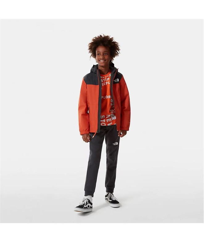 Camiseta The North Face Simple Dome Jr Orange