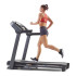 Cinta de correr Horizon Fitness T101