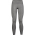 Mallas largas Under Armour Favorite Wordmark W Grey/Black