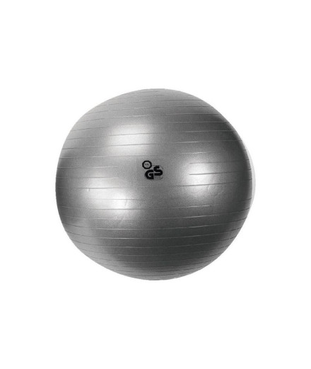 Bola fitness ø 75 cm. 1450 gr sem bomba de ar.
