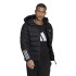 Chaqueta de Montaña adidas ItavicH Hombre