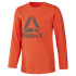 Sportswear Reebok T-Shirt Essentials de Treino para Rapazes