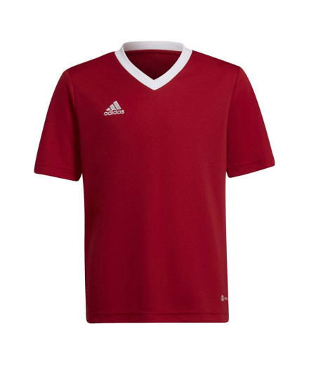 Camiseta de Fútbol adidas Ent22 Infantil