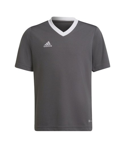 Camisola de futebol adidas Ent22 e camisola de futebol...
