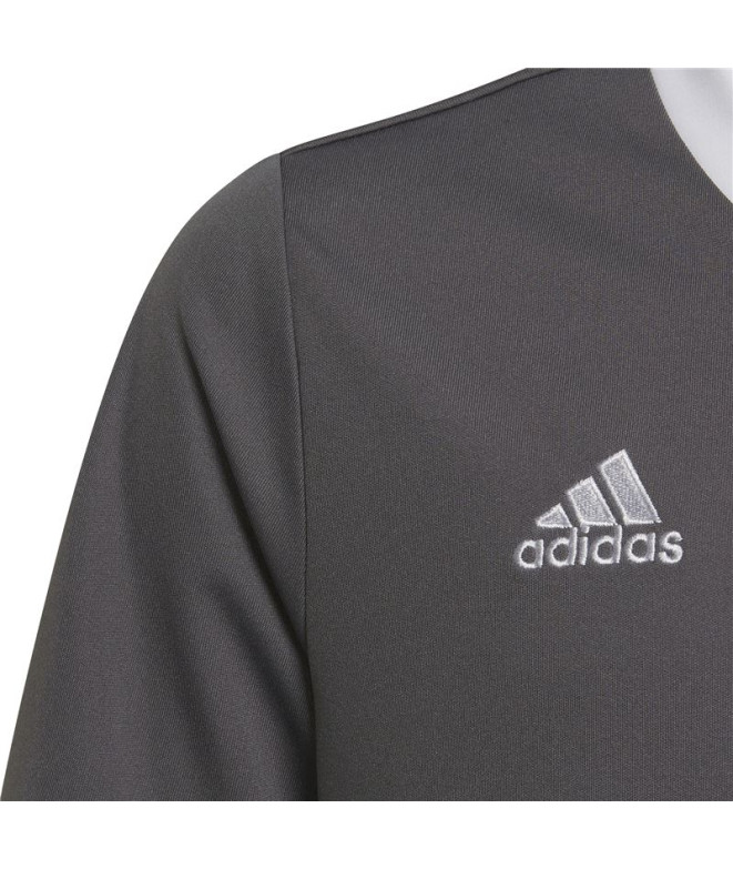 Camisola de futebol adidas Ent22 e camisola de...