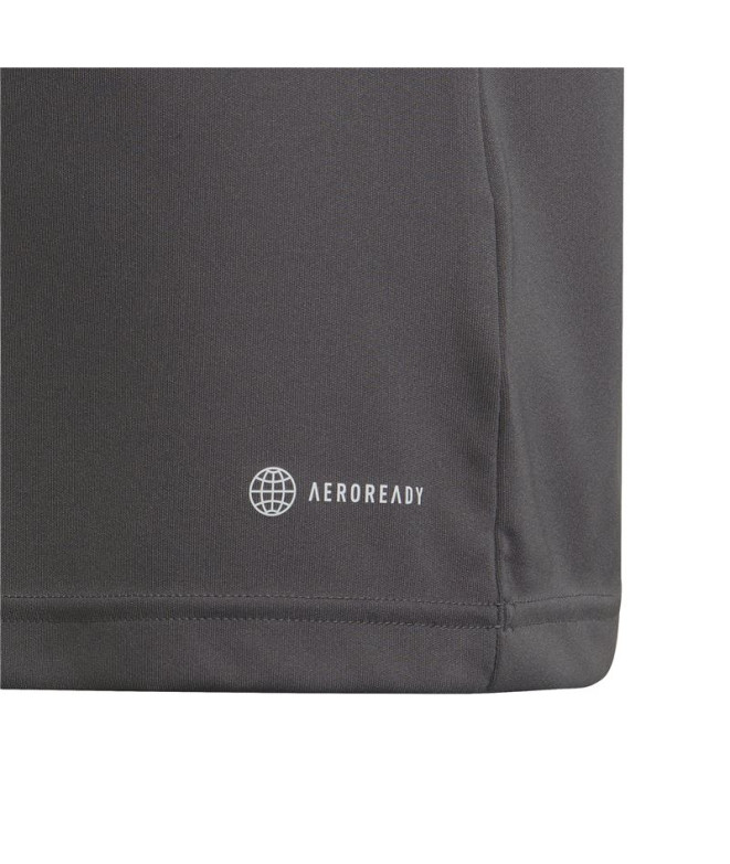 Camisola de futebol adidas Ent22 e camisola de...