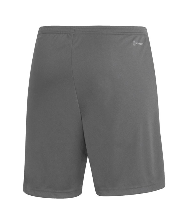 Calça de Futebol adidas Ent22 Homem