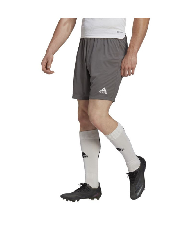 Pantalons de Football adidas Ent22 Homme