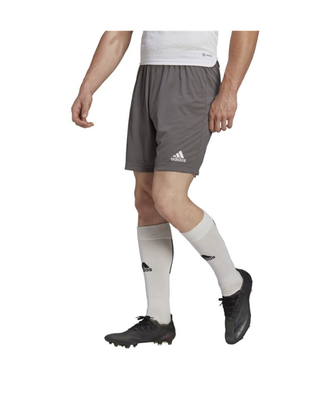 Pantalones de Fútbol adidas Ent22 Hombre