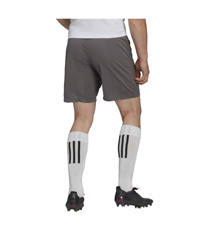 Calça de Futebol adidas Ent22 Homem