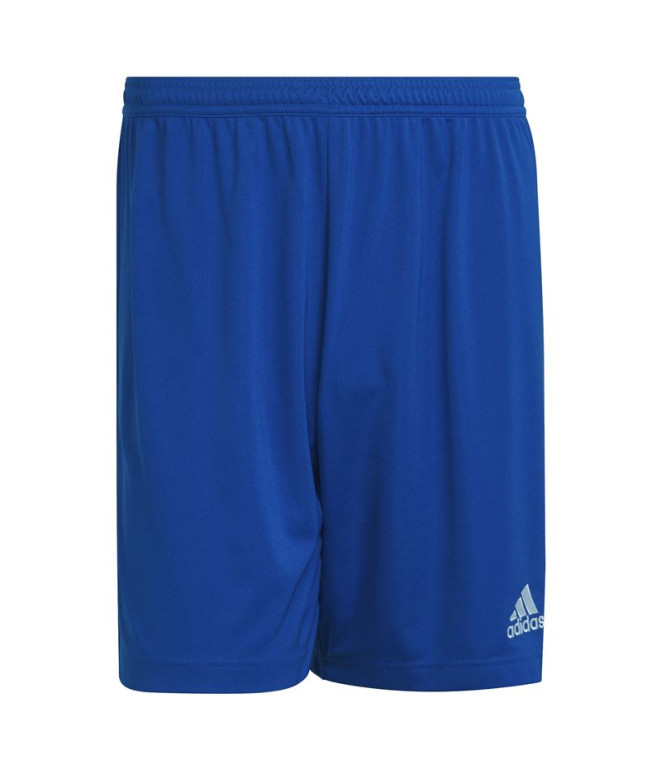 Calças de futebol adidas Ent22 Homens