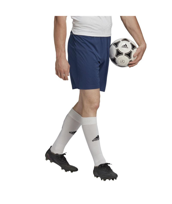 Pantalons de Football adidas Ent22 Homme