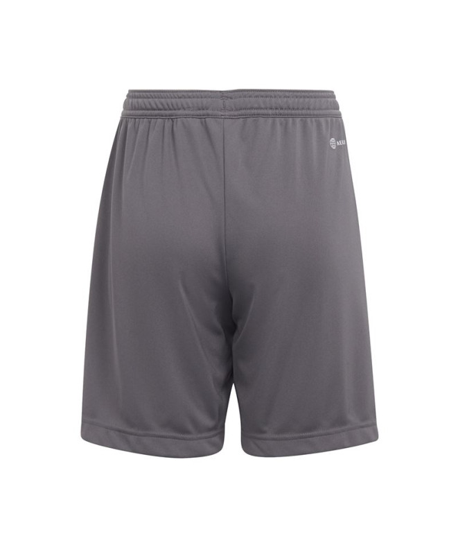 Pantalon de football adidas Ent22 & Kids...