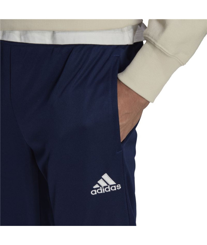 Pantalons de Football adidas Input22 Tr Homme...
