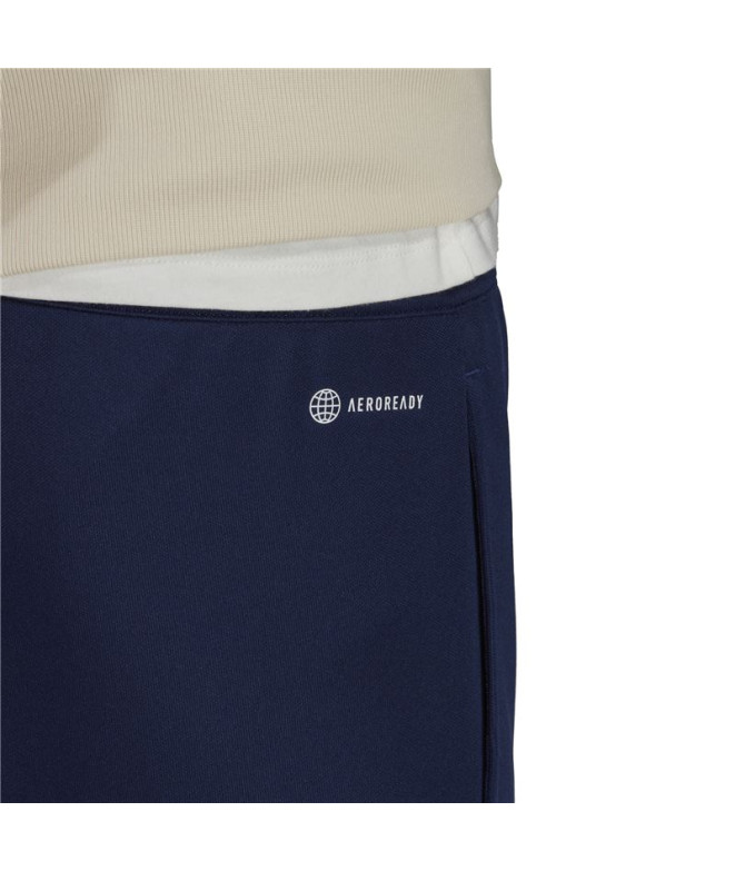 Pantalons de Football adidas Input22 Tr Homme...