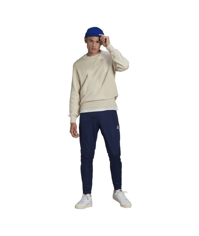 Calça de Futebol adidas Input22 Tr Homem Tenabl