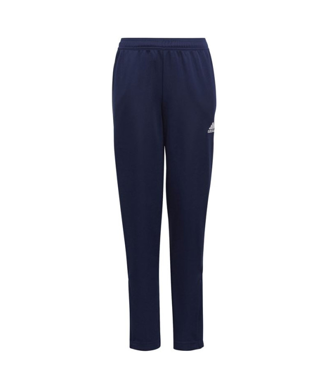 Calça de Futebol adidas Input22 Tr Infantil Tenabl