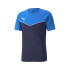 Camisola de futebol infantil Puma Individualrise