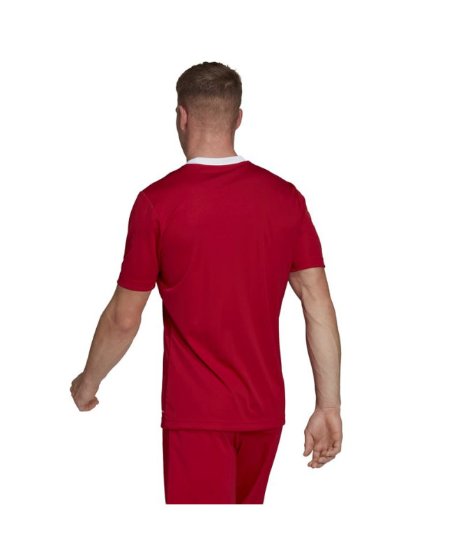 T-shirt Football adidas de Ent22 Homme