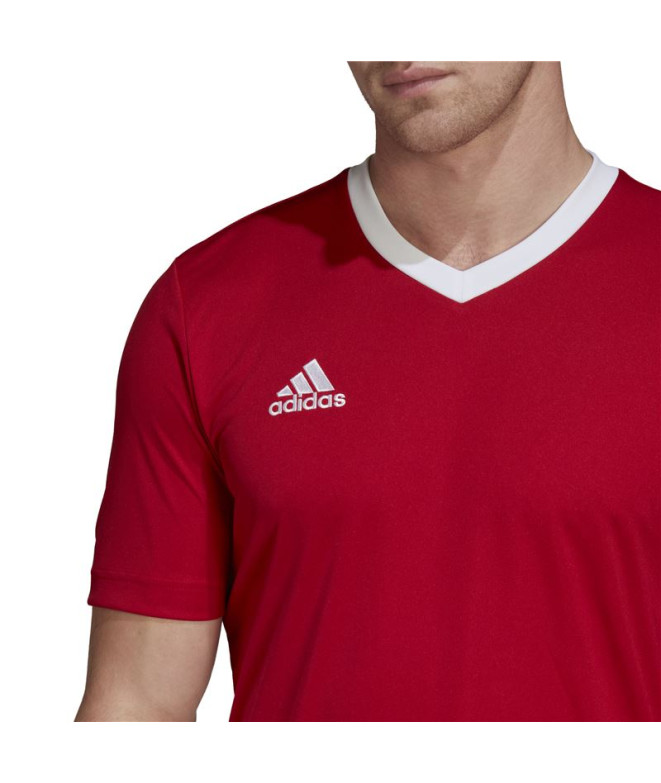 T-shirt Football adidas de Ent22 Homme