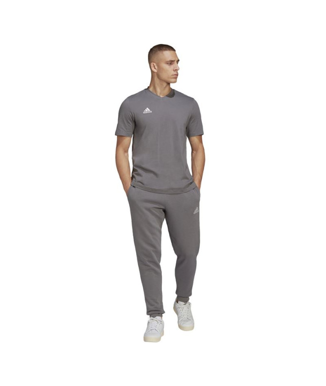 Camiseta de Fútbol adidas Ent22 Hombre