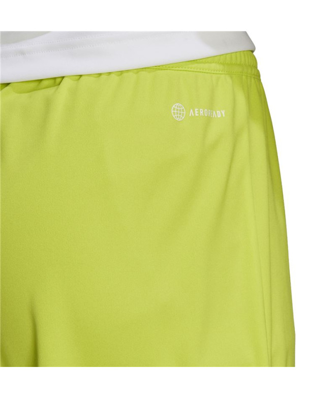 Calça de Futebol adidas Ent22 Homem