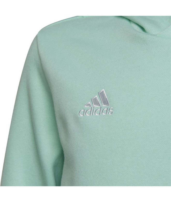 Sweatshirt de futebol adidas Ent22 Hoody Y Kids