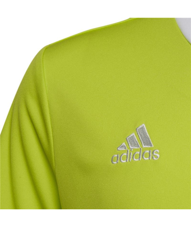 Camiseta de Futebol adidas Ent22 Infantil