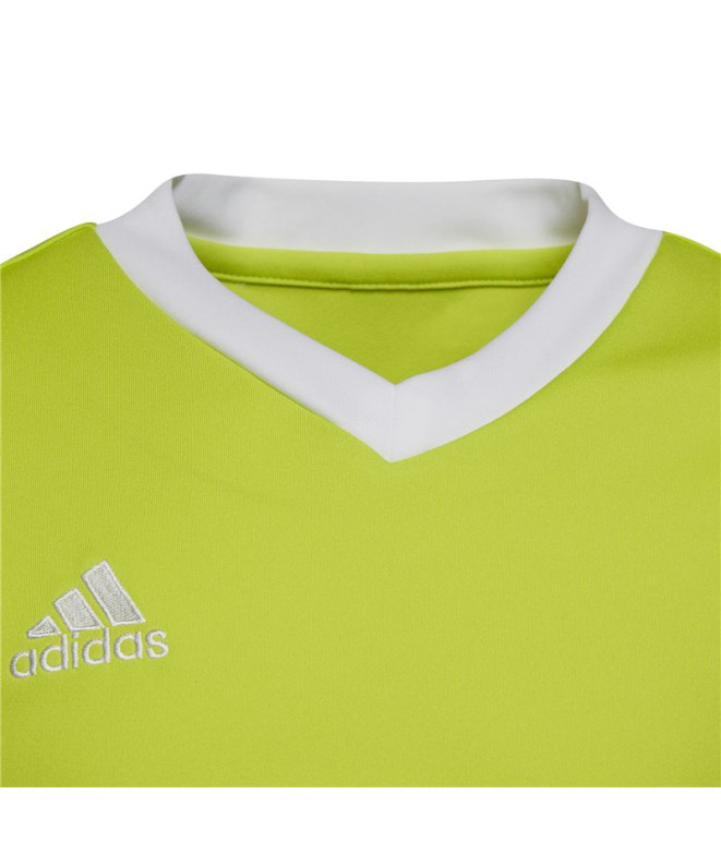 Camiseta de Futebol adidas Ent22 Infantil