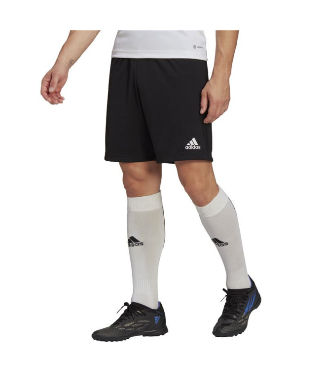 Pantalons de Football adidas Ent22 Tr Homme