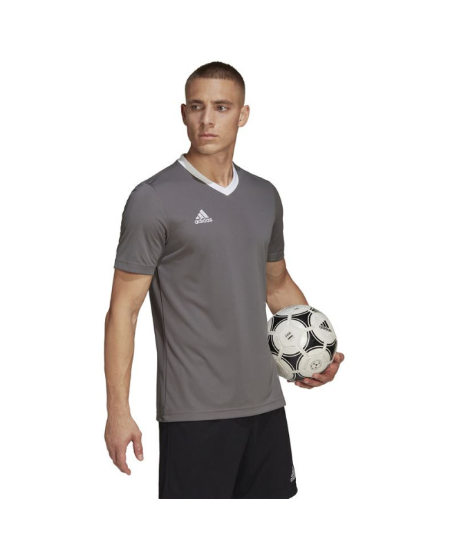 Camiseta de Fútbol adidas Ent22 Hombre