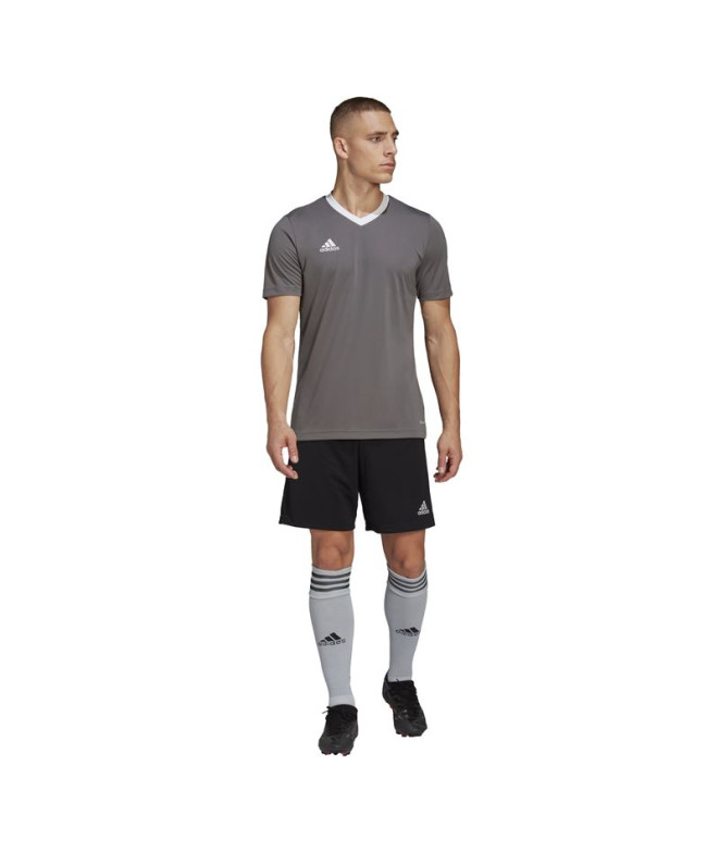 T-shirt Football adidas de Ent22 Homme