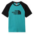 Camiseta The North Face Raglan Easy M Green