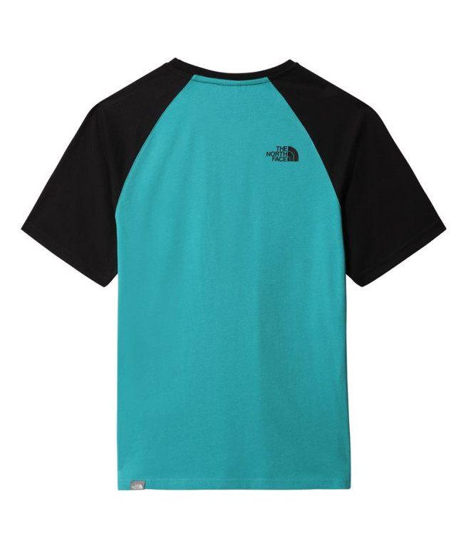 Camiseta The North Face Raglan Easy M Green