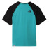 Camiseta The North Face Raglan Easy M Green