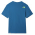 Camiseta The North Face Gráfico M Azul