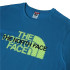 Camiseta The North Face Gráfico M Azul