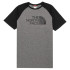 Camiseta The North Face Raglán Easy M Medium Grey
