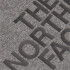 Camiseta The North Face Raglán Easy M Medium Grey
