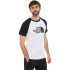 Camiseta The North Face Raglán Easy M White