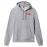 Sweatshirt The North Face Graphic Print M Cinzento