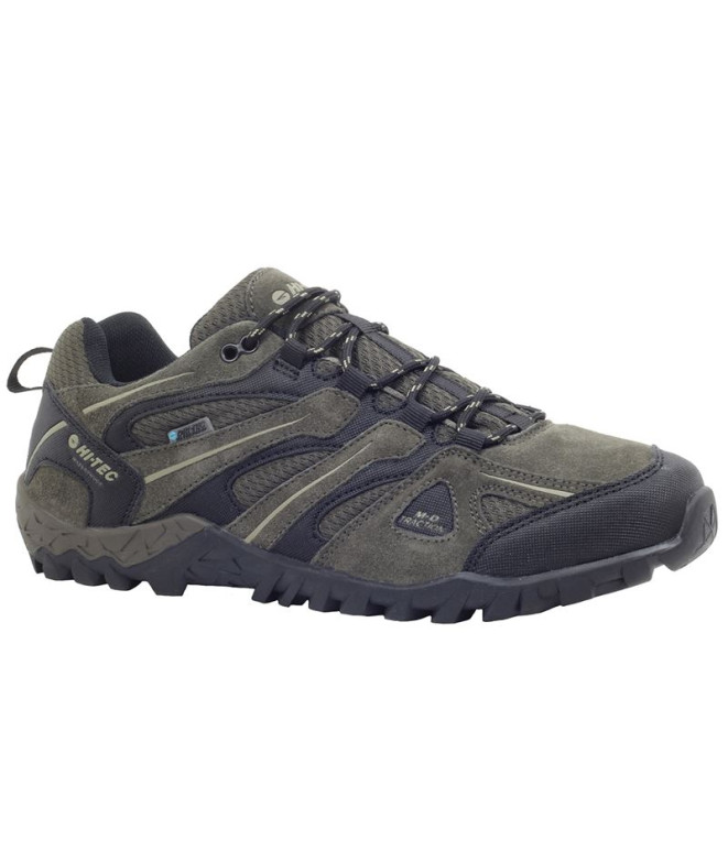 Mountain chaussures Hi-Tec Quercus Low WP M Brown