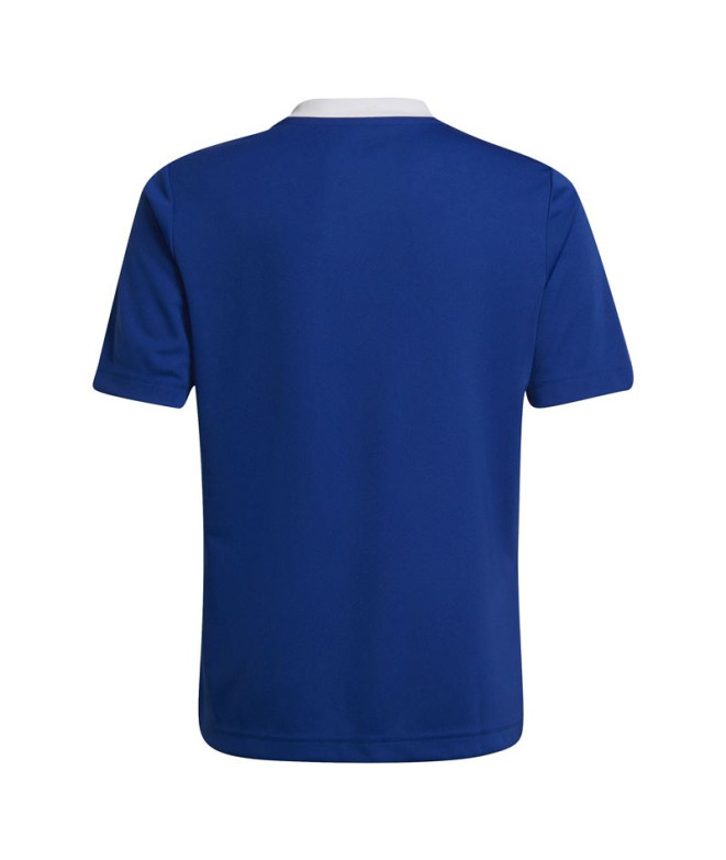 Maillot de football adidas Ent22 et maillot de...