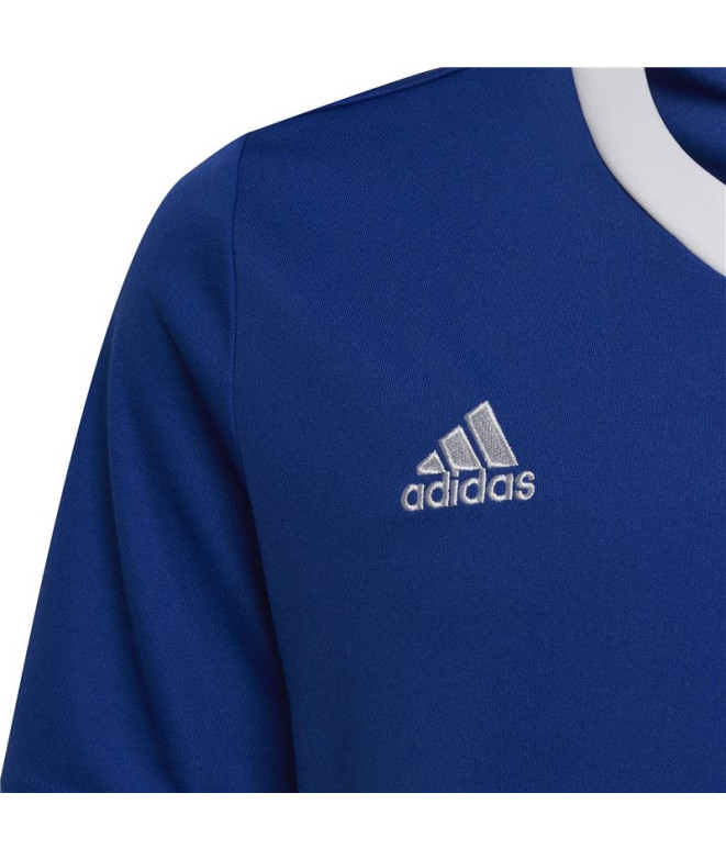 Camisola de futebol adidas Ent22 e camisola de...