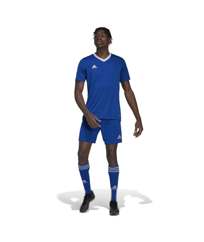 Camiseta Futebol adidas de Ent22 Homem