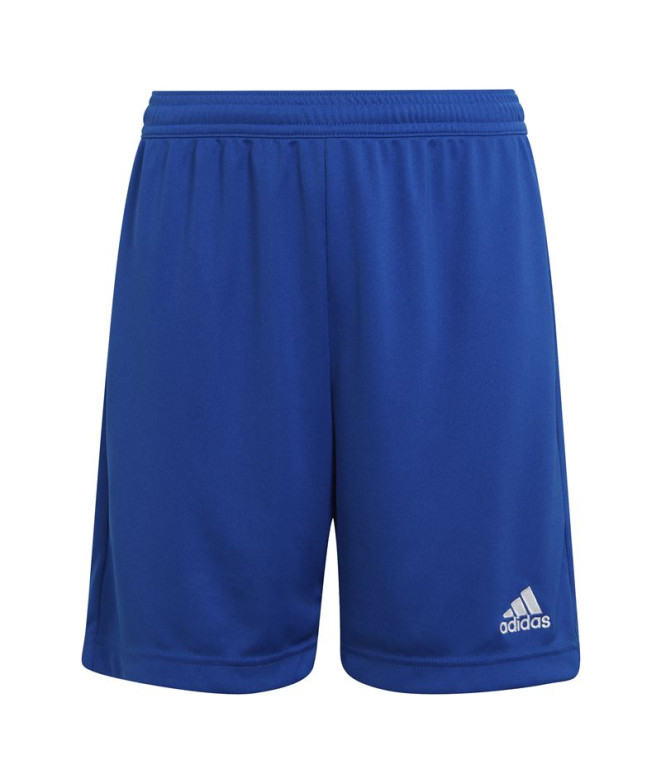 Calças de futebol adidas Ent22 & Calças de futebol para crianças