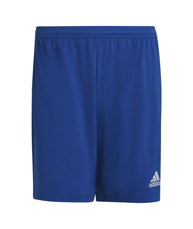 Calças de futebol adidas Ent22 Homens